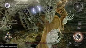 半藏官方爆料吧最新视频  第3张